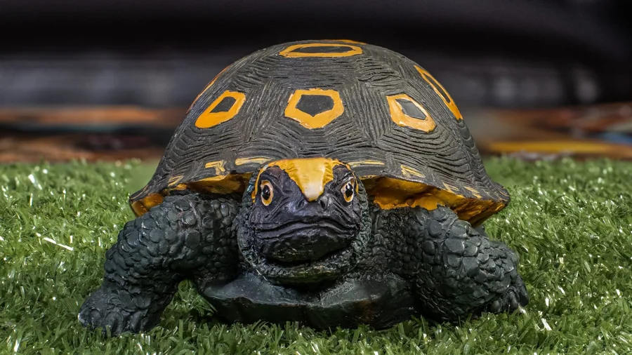 Tortue peinte