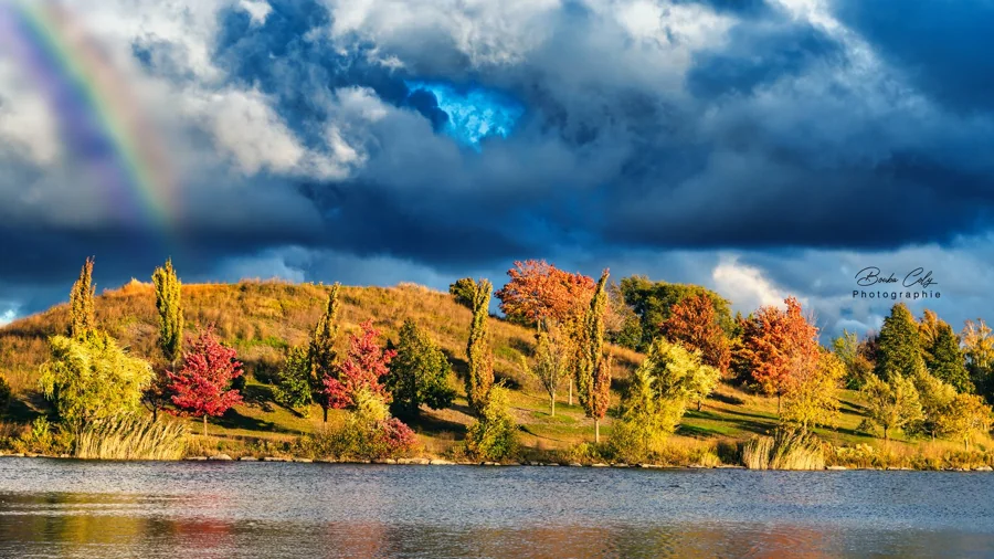 Atmosphère de parc naturel