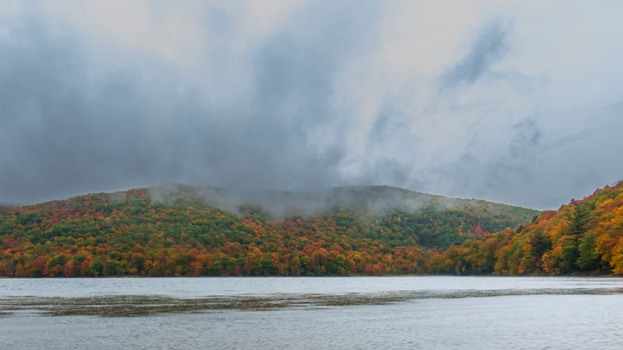 Brume d’automne
